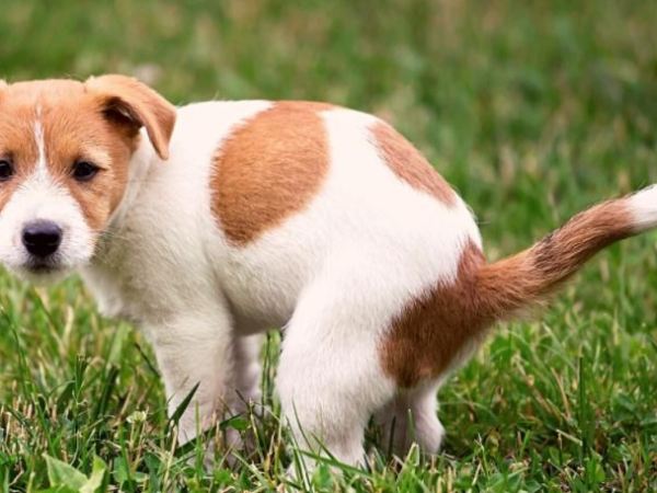 Woody’s Winners 4/13/2022