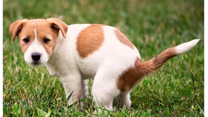 Woody’s Winners 4/13/2022